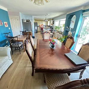 Anita's Homestay - Bedroom On Ground Floor With Backyard Is Downstairs Homestay Abbotsford